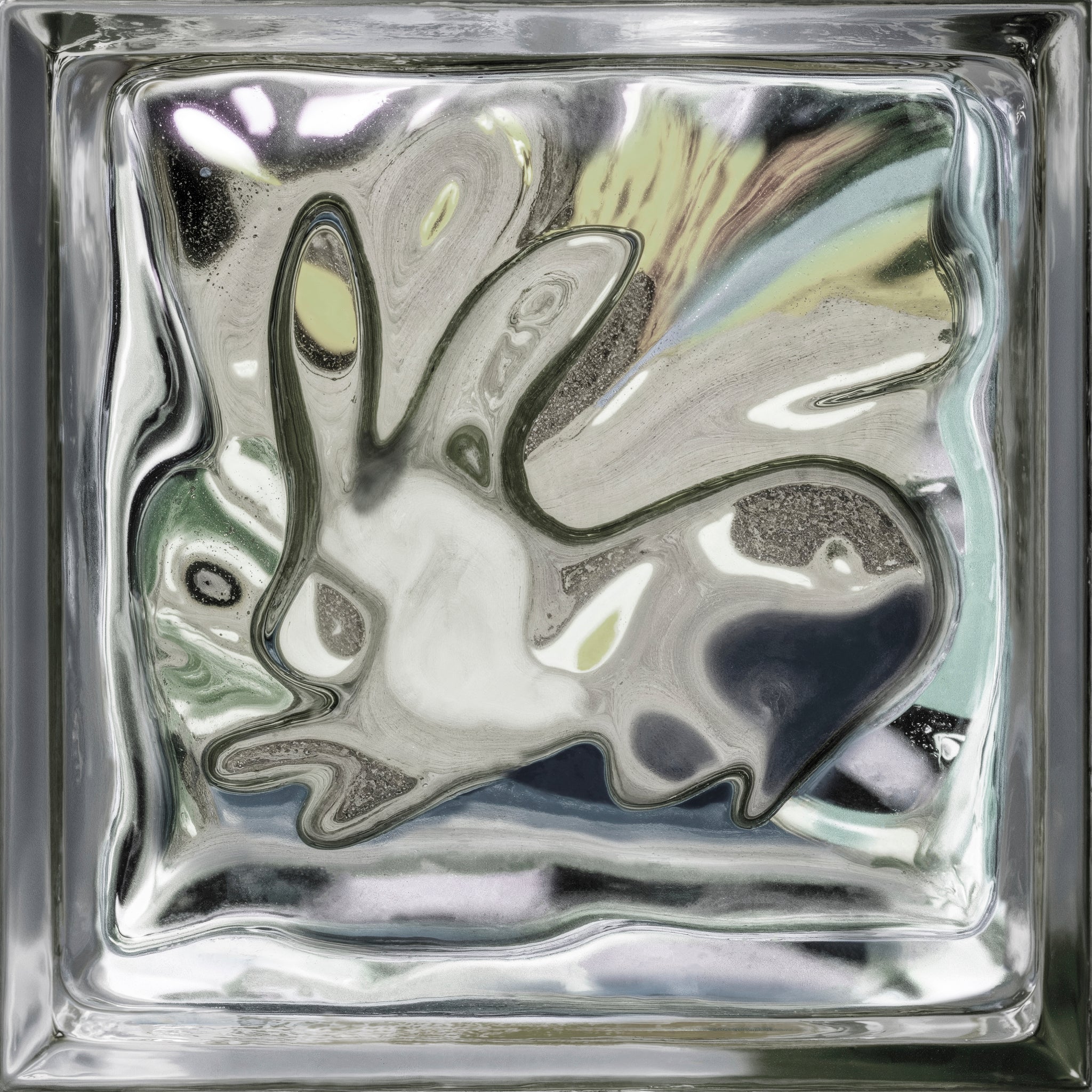 1000Rabbits-Arewefriendsyet
