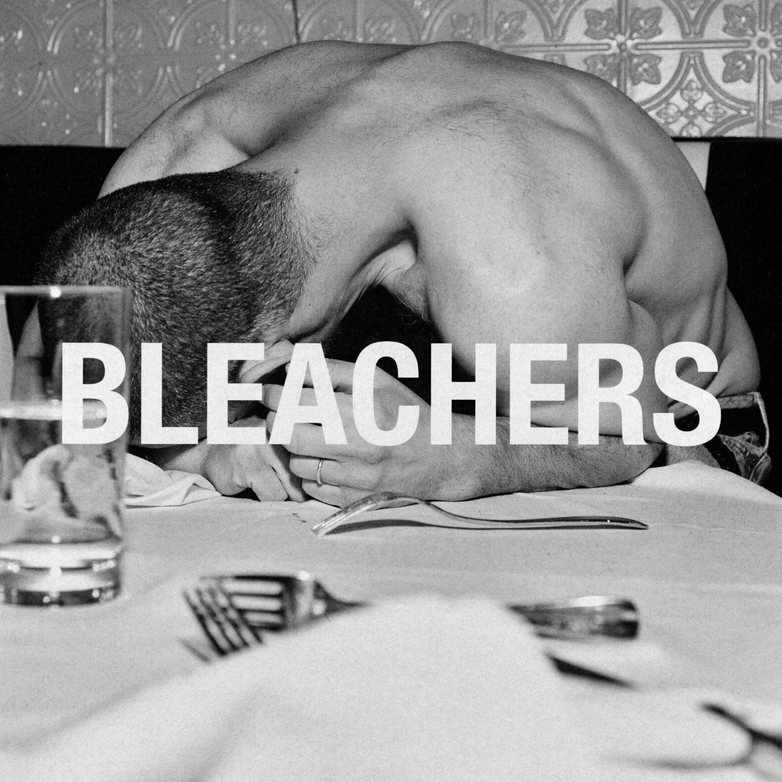 BleachersCover