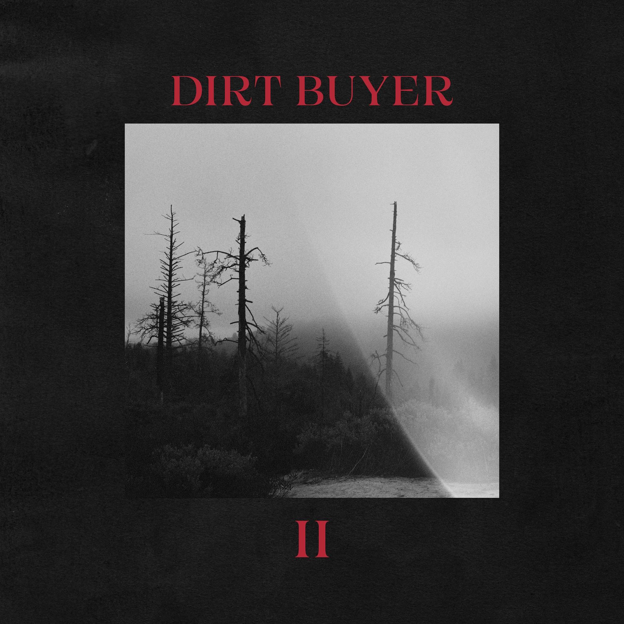 Dirt_Buyer_-_Dirt_Buyer_II_e284ed80_thumbnail_4096