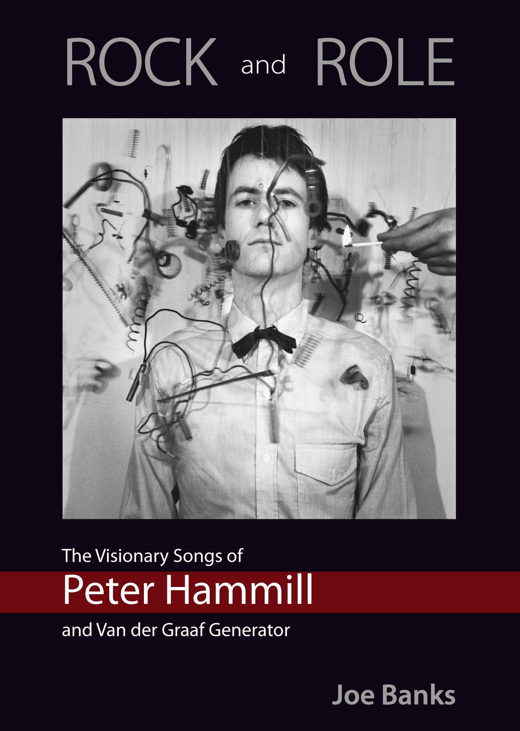 Hammillbookfinalfrontcover_e483cedd-5f9a-415a-bae8-183469430c48
