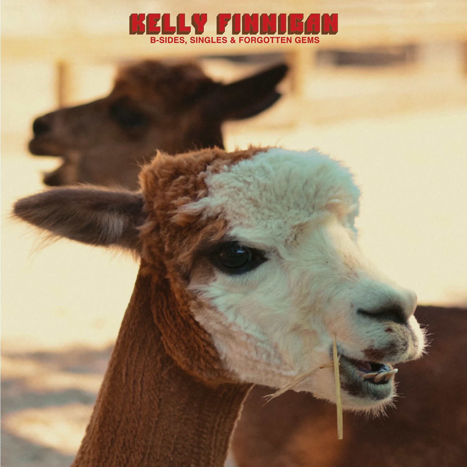 KellyFinnigan-B-SidesSingles_ForgottenGems
