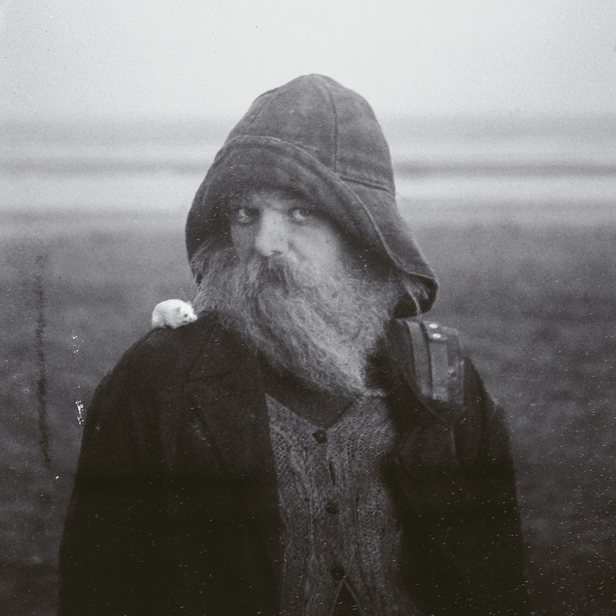 ROLEMODELHERMIT_COVER
