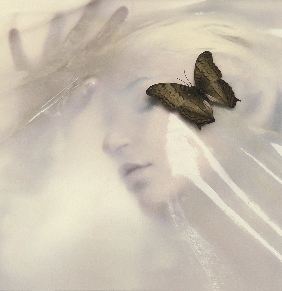 ReturntoDust_Cover_bf768675-d26b-4808-a1fd-8d3ecc3e8c2a