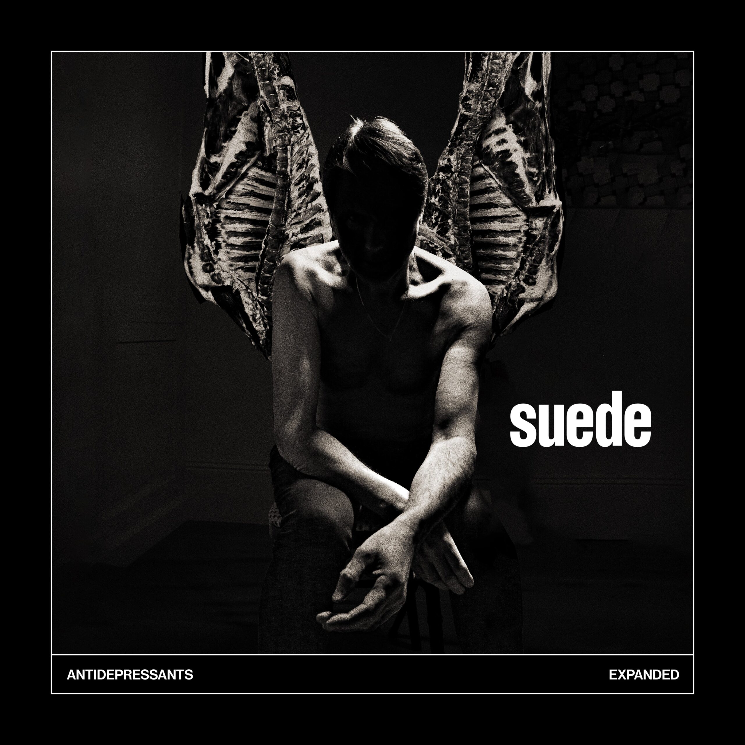 Suede3CD10.07.26