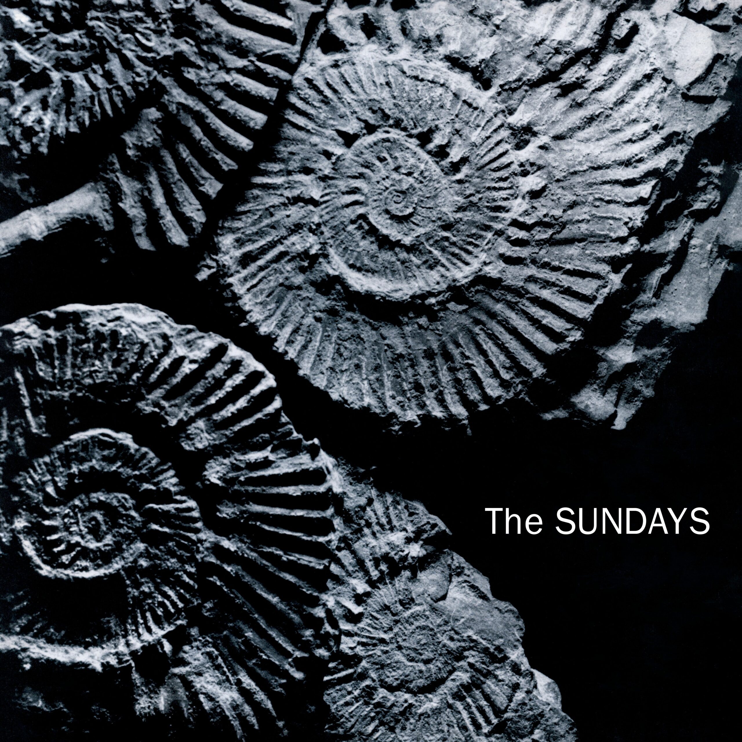 SundaysRWA-Sleeve