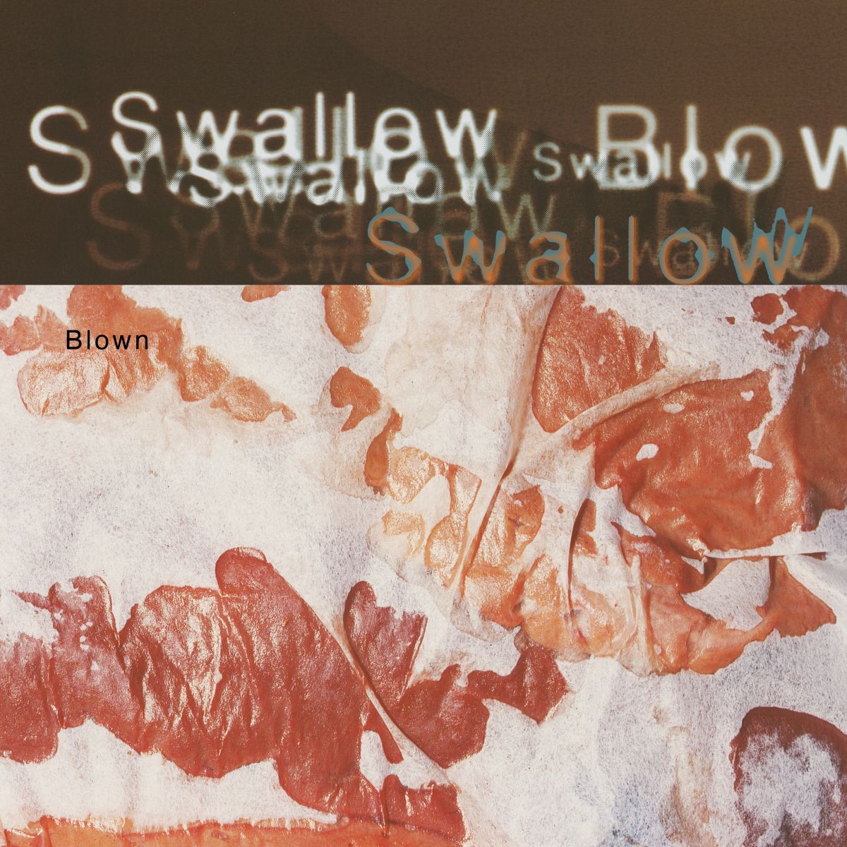 Swallow-Blown_7209