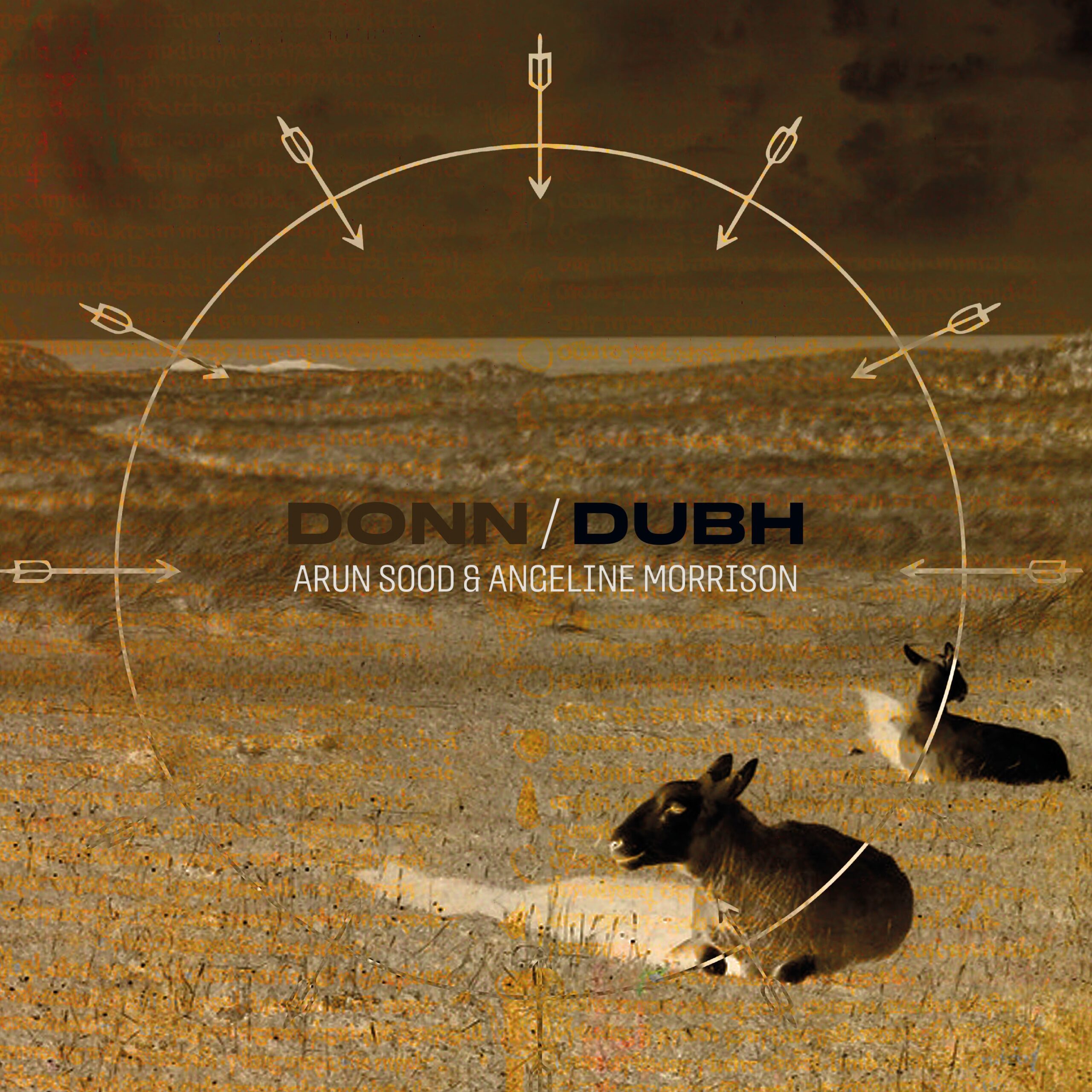XRW73ArunSood_AngelineMorrison-DonnDubhcoverart
