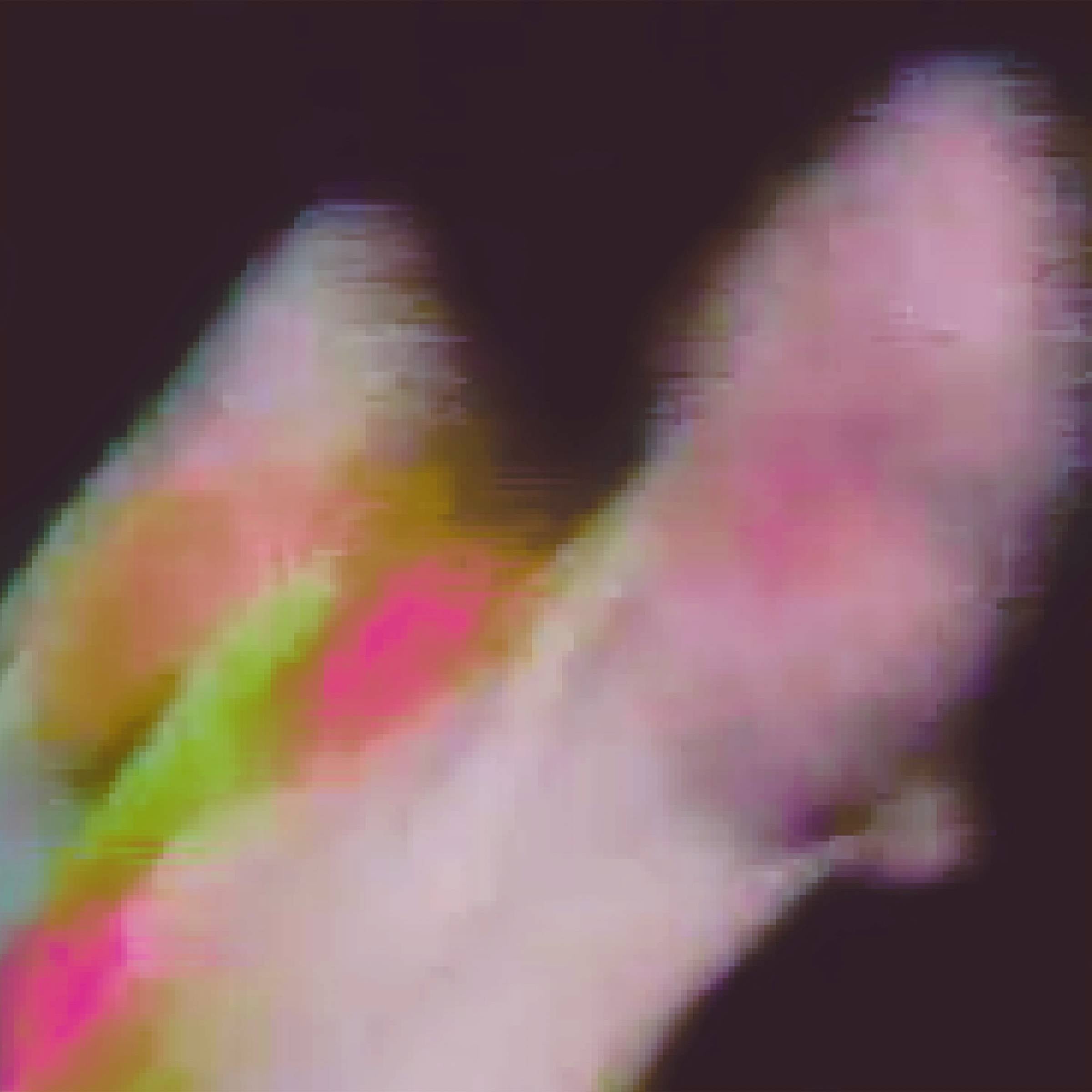 f01fc84f-063e-45cb-8882-5ac6c69cfcf2_thumbnail_4096