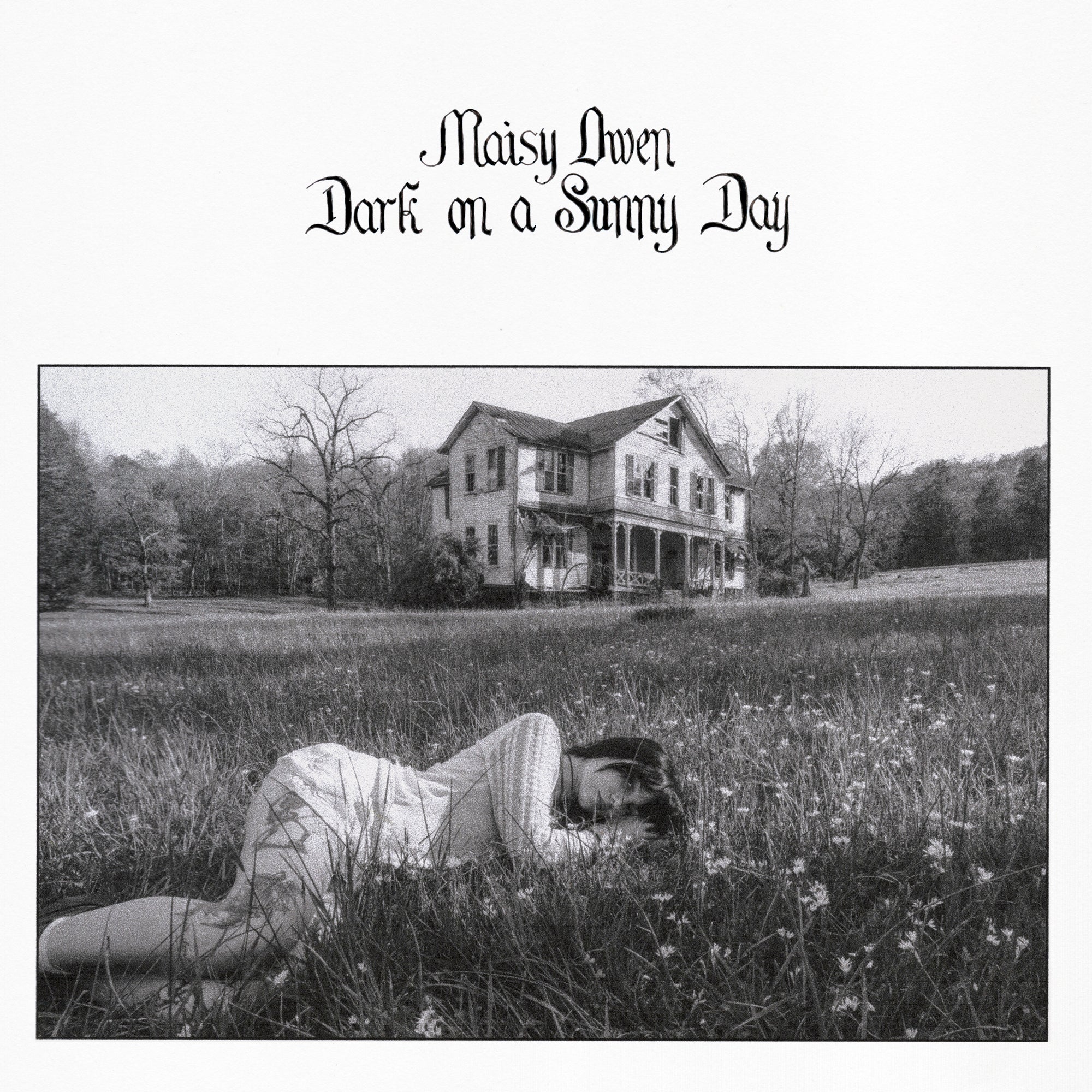 maisy_owen_dark_on_a_sunny_day