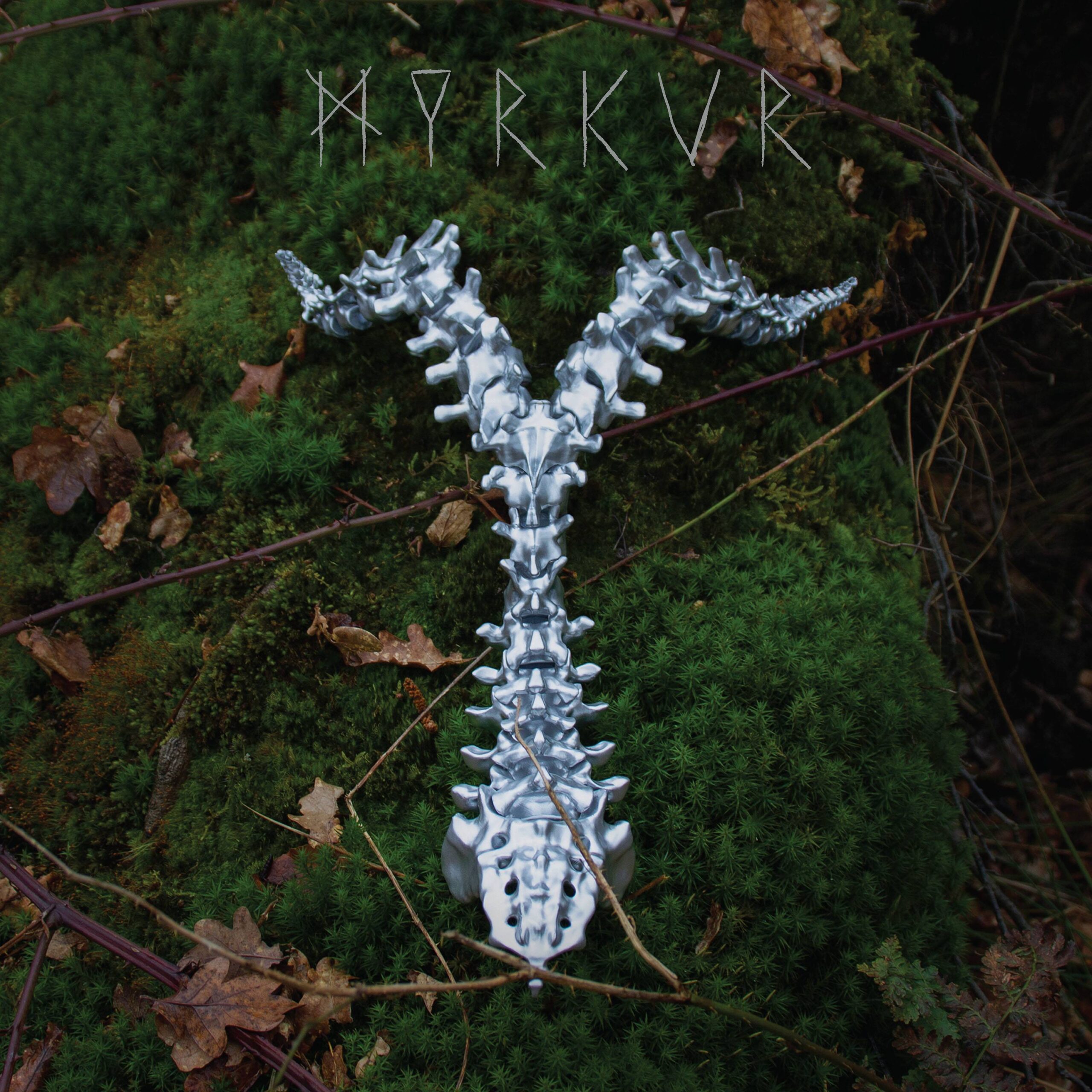spine_3000_4b626c94_thumbnail_4096